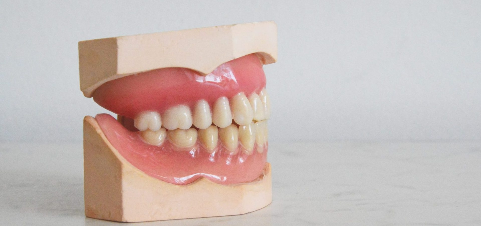 teeth and gums