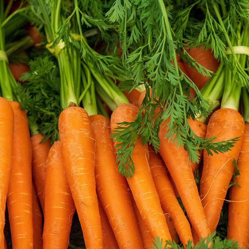 a bunch of carrots bunch of carrots