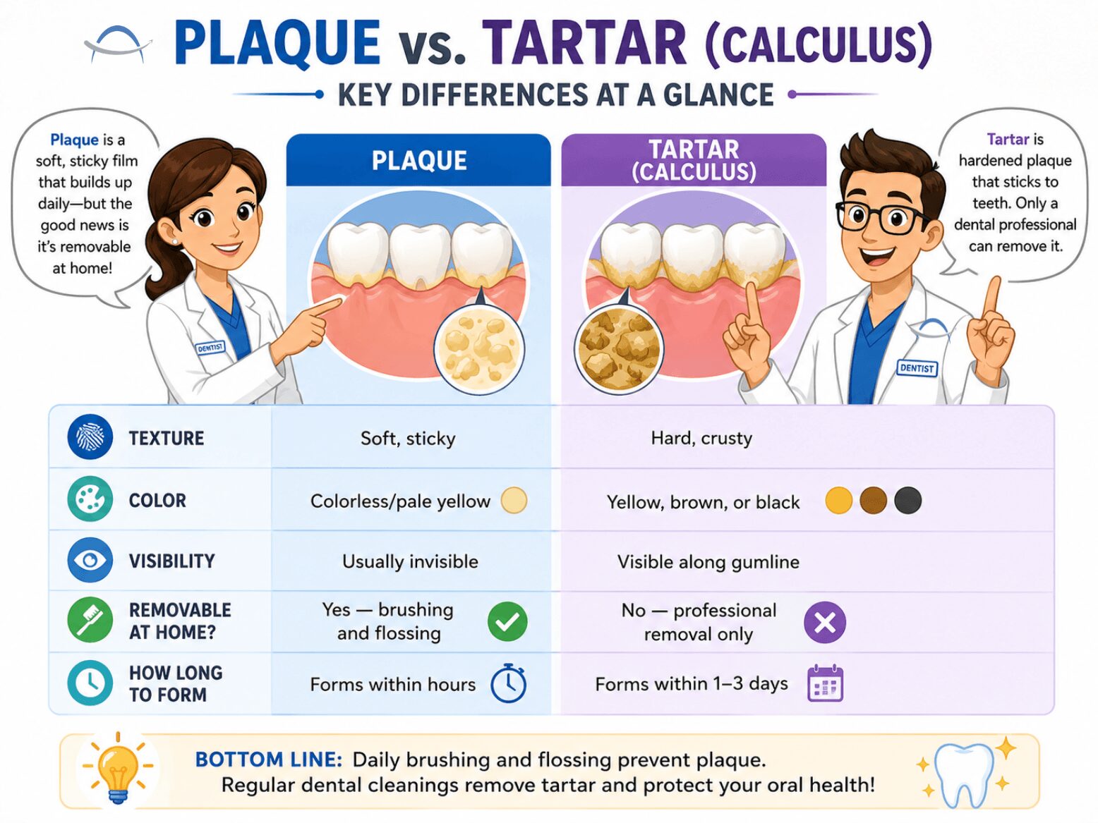 plaque vs tartar infographic plaque vs tartar infographic